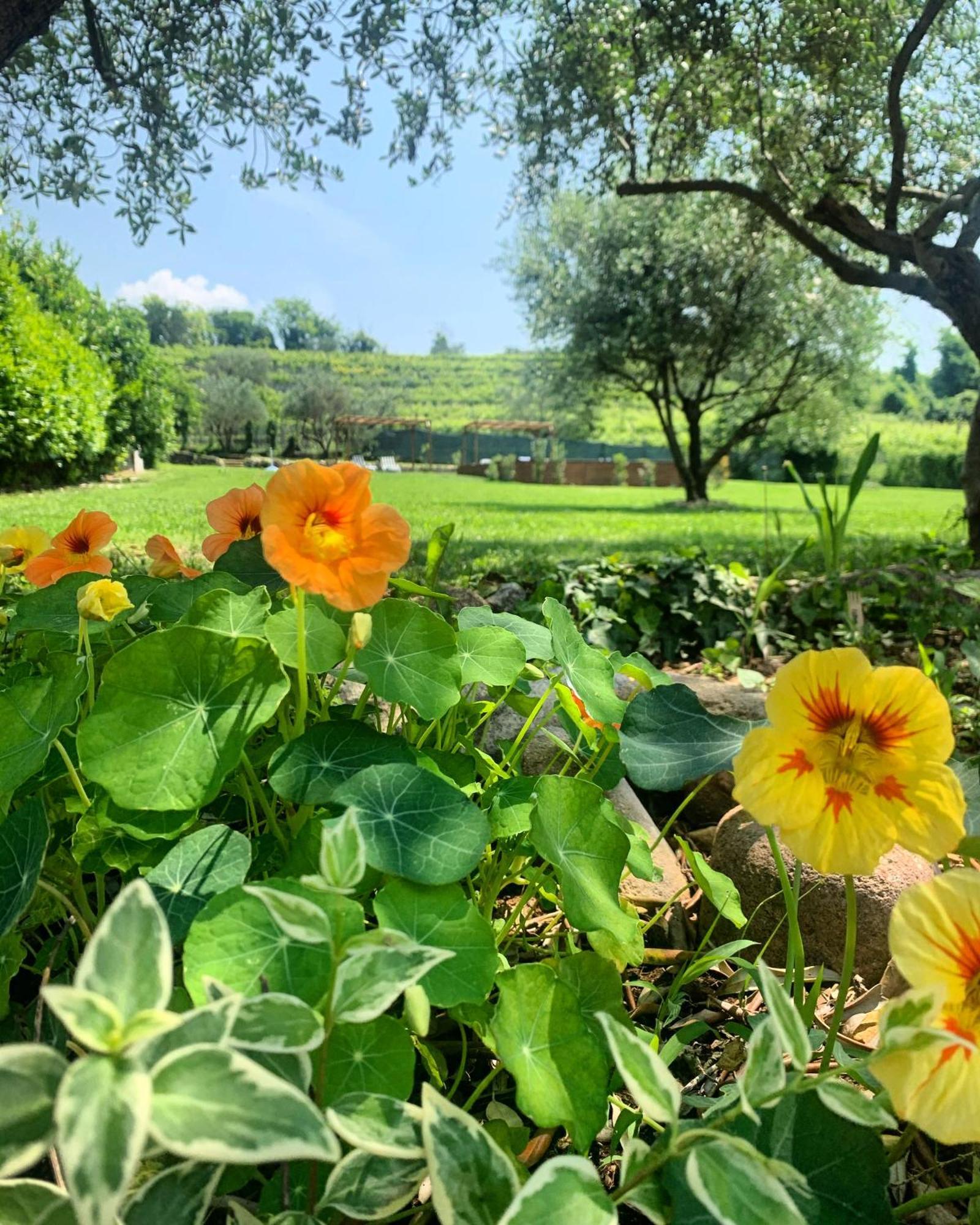 Relais Valpolicella B&B Marano di Valpolicella Экстерьер фото